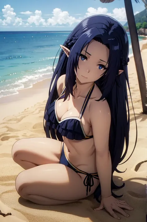 dark blue hair,,long hair,blue eyes,pointy ears,elf,(((bikini))),on the beach