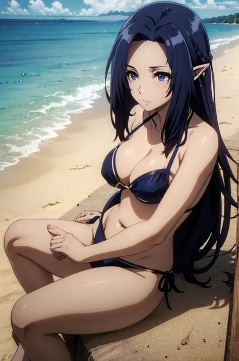 dark blue hair,,long hair,blue eyes,pointy ears,elf,(((bikini))),on the beach