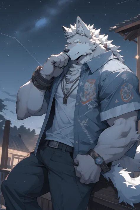 White Wolf，Adult male，Casual wear，White fur，short hair，Messy hair，Starry Sky，detailed，best quality