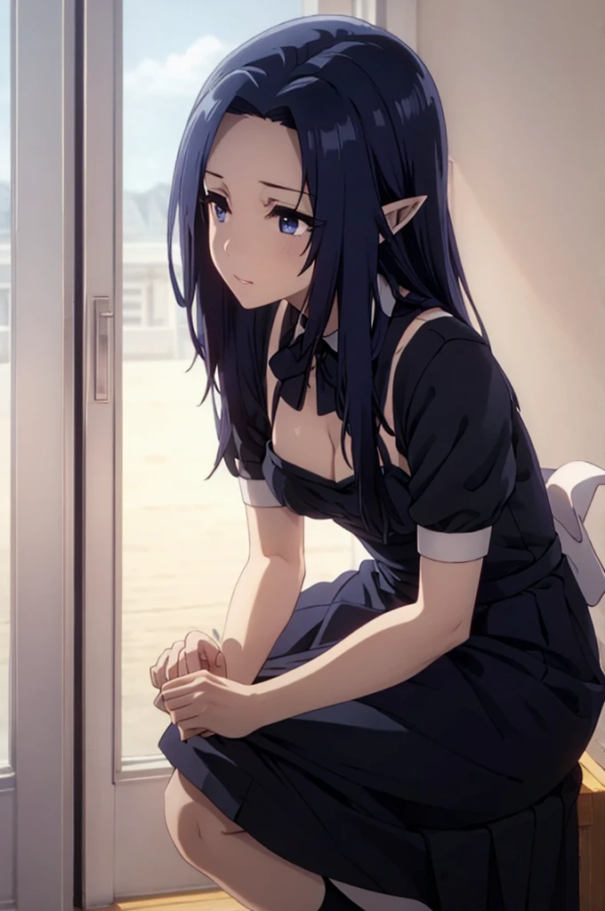 best quality, dark blue hair,,long hair,blue eyes,pointy ears,elf,,masterpiece, highres, solo, (maid:1.40), (long maid dress:1.15), anime_style, 14
