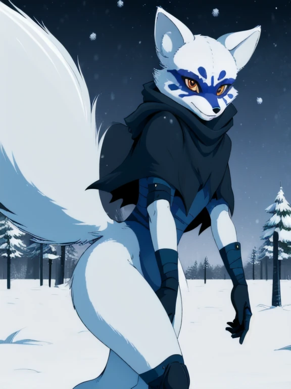 Alopex, arcticfox, tmnt, blue mark face, smile, orange eyes, girl1, solo, snow, park, black cloak, bandage, tail, black short