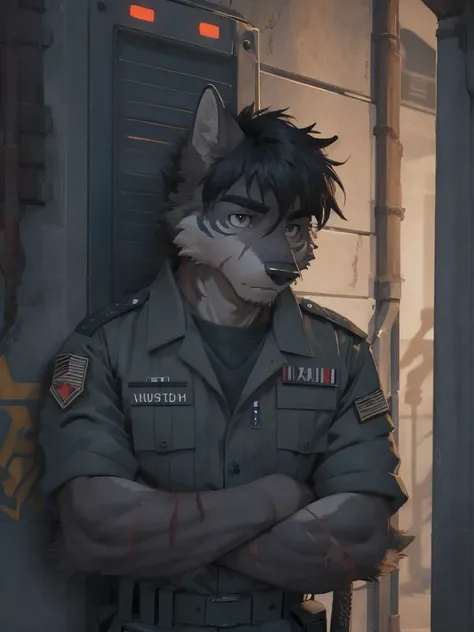 Male, male focus, wolf, 20 years old, short hairs, black fur, white fur, black hair, Red heart stripes on his hair, navy seal military uniform, high quality, highlight, shade, shadow, military Cruiser, night, scars, high details, Very high level of detail,...