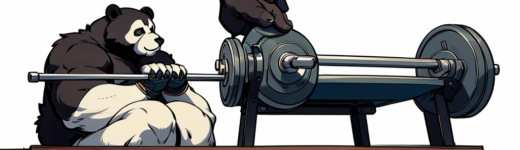 a standard size A4 clipart drawing, high resolution; panda bear with a heartthrob face lifting weights from the bench press bar with 4 rings on each side of the bar, the bears body and fur are very well looked after; transparent or completely white backgro...