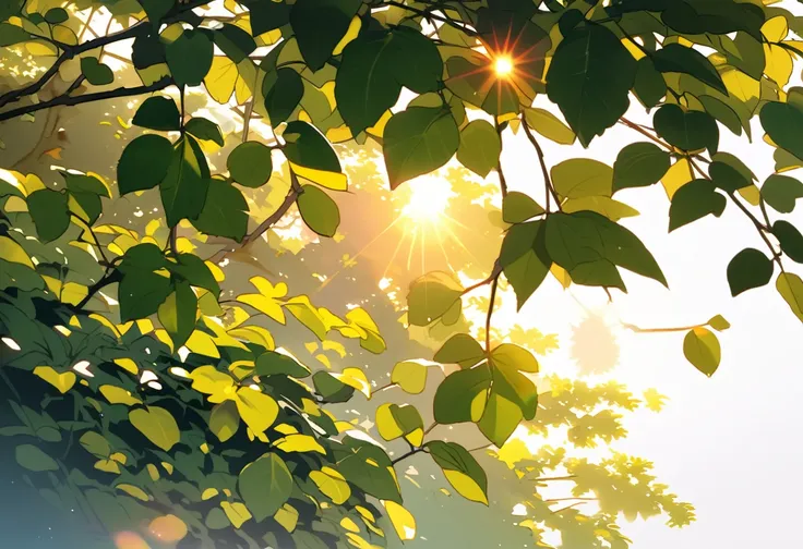 The bright sun peeking through the leaves