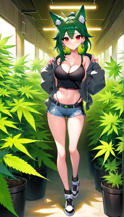   , Croped, , cleavage, slim waist, cropped hoodie underboob, cropped hoodieunderboobhoodie, 1girl, 2 wolf ears, wolf tail, marijuana crop hoodie, crop shorts, marijuana hoodie, spiky hair, spiky fur, green hair, red eyes,marijuana field, tight clothes, pe...