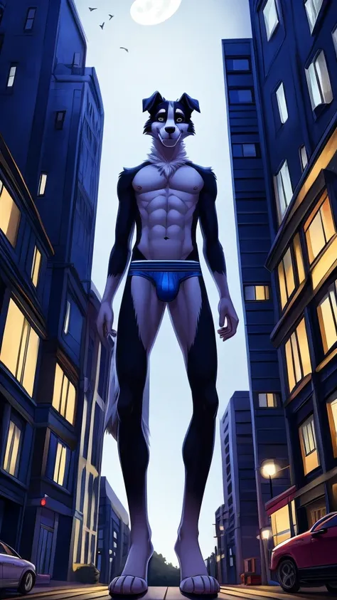 Border collie, Anthro, Furry, Wearing Blue Underwear, Skinny, behind him building And Night, his really tall, Micro Size 
