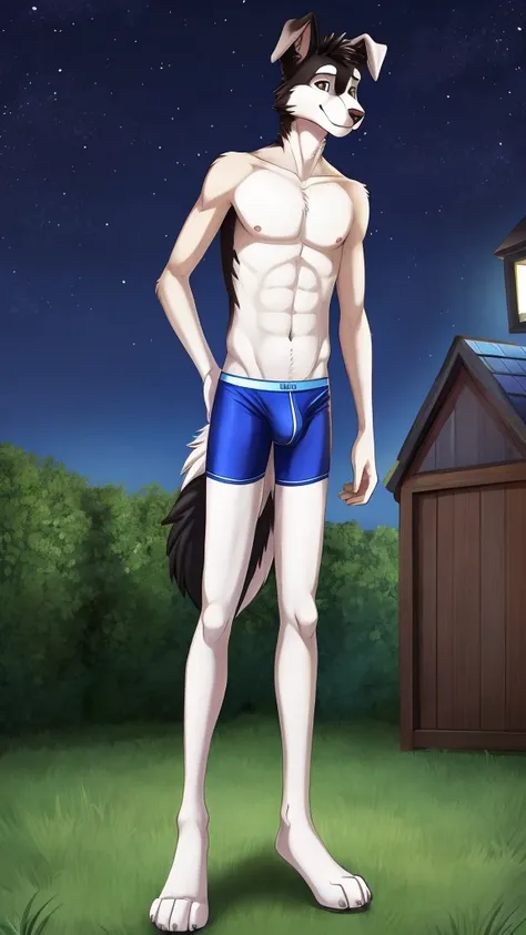 Border collie, Anthro, Furry, Wearing Blue Underwear, Skinny, behind him home And Night, his really tall, tiny Size 
