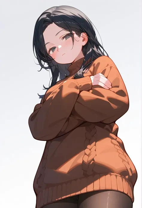 score_9, score_8_up, score_7_up, 1girl, woman, long hair, black hair, parted bangs, light black eyes, small breasts, innexpressive, sweater, Comfortable sleeves, sweater, blushing, narrowed eyes, closed mouth, standing, crossed arms, side view, thigh-high ...