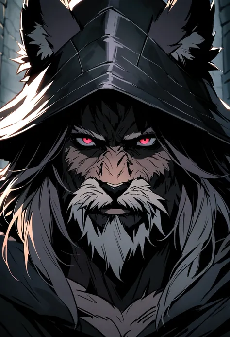 Werewolf form, front, Close-up portrait, male, beard，rogue, malevolent, hide, Dungeon, Light Armor, Black witch hunter hat