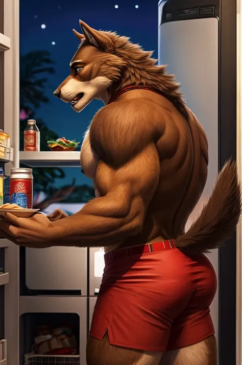 A werewolf has brown fur, he also wears blue shorts with red and white stripes and damaged athletic sneakers, at kitchen, hungry, raid the fridge, anthro werewolf, male, adult, brown fur, buffed body, eating burgers at fridge, sexy, beefy body, furred body...