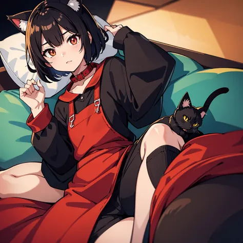 (黒いCat、Red collar、Cat)、high quality, 8K、Best illustrations