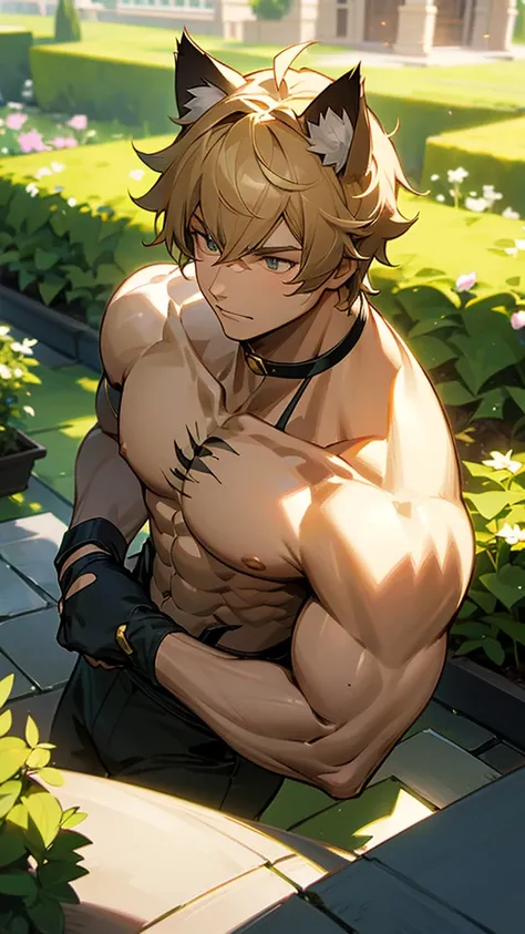 A cat boy with cat ears and muscles on his chest With a garden landscape and good light tones and shadows HD 4k high definition cinematic