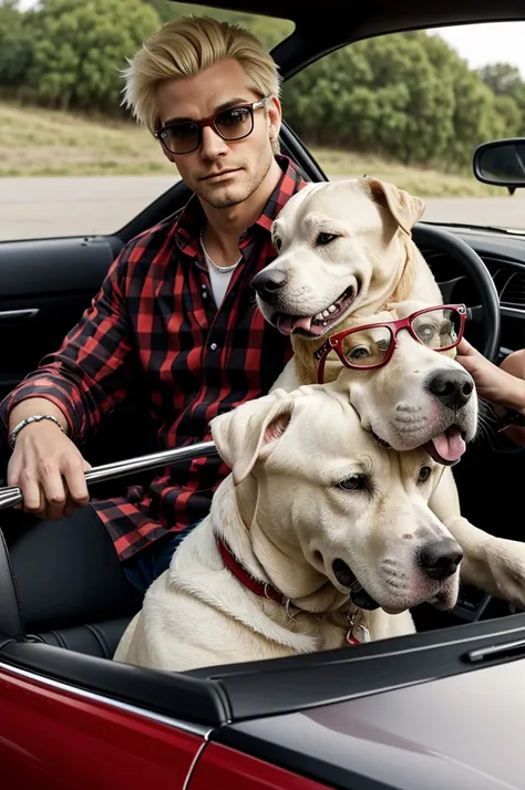 Cartoon of a man with blonde hair, with plaid shirt, black copilot glasses in a red convertible car, the car being driven by a dogo argentino dog, 