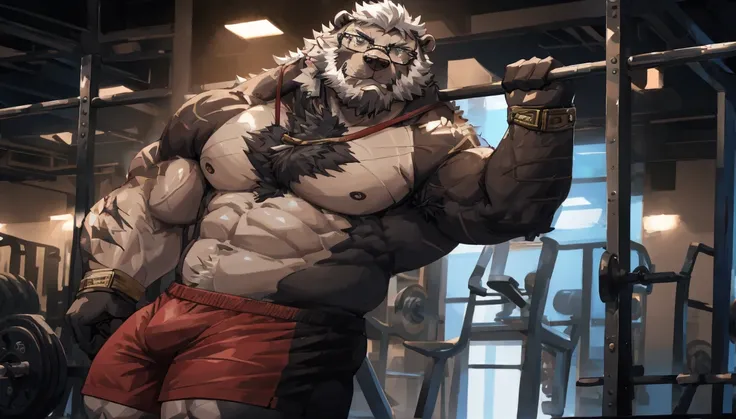 solo, 1boy, Huge Muscular Old Grizzly Bear wearing glasses , pectoral, huge pectoral, wide pectoral, short white hair, short pants black wristbands and shirtless topless, bearded, Mustache, gym background, masterpiece, high detailed, 8k, high resolution, a...