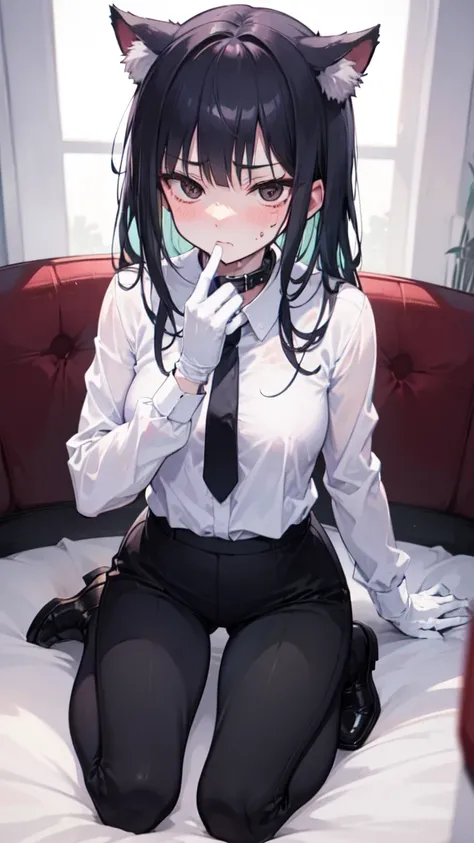 18-year-old Shota，cute，Wear a white long-sleeved shirt and a black work tie，Wear black pants，Wear black booties，Wear white gloves，wear cat ear，Wearing a collar，Black hair，Black eyes，Very thin waist，Very thin legs，Handsome，Disdainful and cold expression，shy...