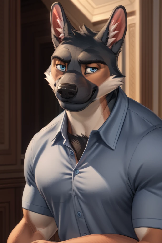 barlitz, blue eyes, black fur, muscular male, (pose:1.3), (soft shading), 4k, hi res, ((detailed face, detailed)), by zackarry911, by zaush, (by personalami:0.5), portrait, upper body, face focus, smile, looking at viewer, shirt,