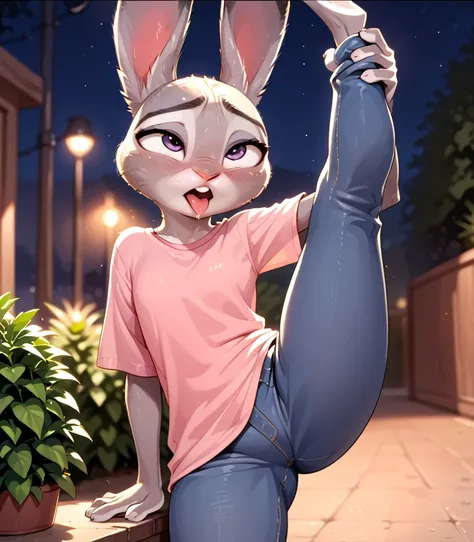 score_9, score_8_up, score_7_up, score_6_up, source_furry, judyhopps ahegao, dark, night, leg up, nsfw, backlighting, solo, pink shirt, jeans, arms at sides, front view, portrait 