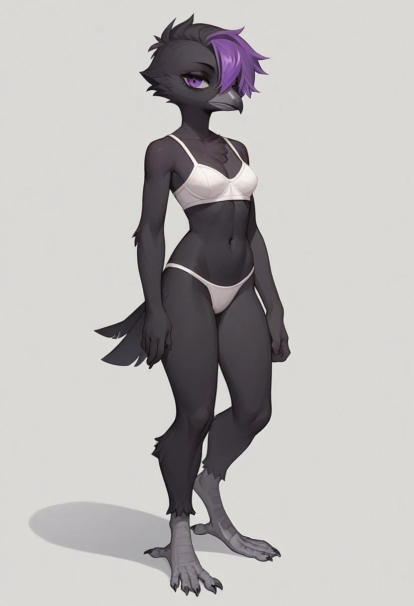 Score_9, score_8_up, score_7_up, flat colors,  an Anthro avian crow girl, female, small grey beak, tall, small crow tail, black body, standing, white background, purple eyes, short black emo hair, purple highlights in hair, hands with five fingers, wearing...