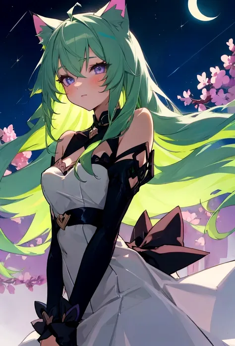 a girl with cat ears and green hair and lilac eyes looking at the night sky