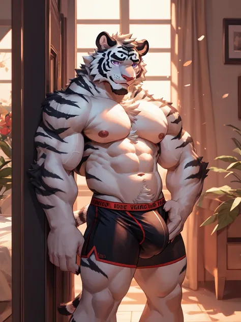 bara white tiger furry leaning on wall wearing only tight purple colored boxer briefs, tall, massive pecs, broad shoulders, sultry gaze, purple eyes, smirking at camera seductively, one hand near his cock, looking at viewer, huge bulge, bedroom, sunlight c...