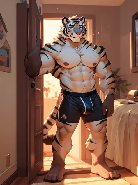 bara white tiger furry leaning on wall wearing only tight purple colored boxer briefs, tall, massive pecs, broad shoulders, sultry gaze, purple eyes, smirking at camera seductively, one hand near his cock, looking at viewer, huge bulge, bedroom, sunlight c...