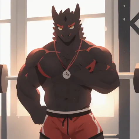 furry，Black Dragon，strong，In the gym