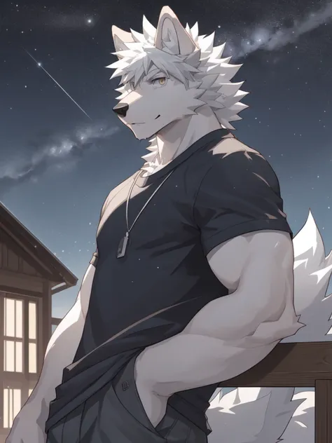 White Wolf，Adult male，Casual wear，White fur，short hair，Messy hair，Starry Sky，detailed，best quality