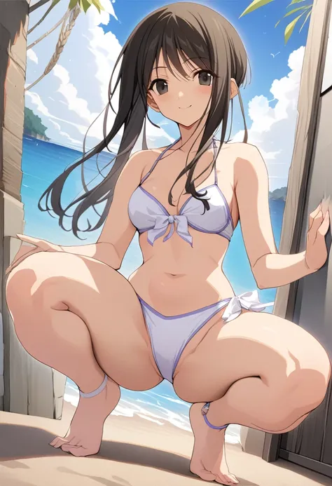 One girl,((Tsubame)),smile、Gentle expression、Welcome、Ocean、beach、slender body,ideal ratio body proportions,Cute Bikini、Sexy pose,squatting、A complete depiction of the human body,masterpiece, Highest quality, Game CG, ultra detailed、highres、extremely detail...