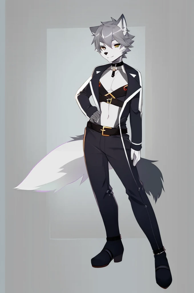 Wolf、Handsome、Gray Hair、Character portrait、Front view、stylish、Full body view、From head to toe、Sexy Outfits、Choker on neck、Sexy Belts、Simple Background