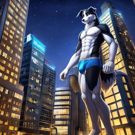 Border collie, Anthro, Furry, Wearing Blue Underwear, Slim, city  And Night, his really Macro size his 40ft tall, 