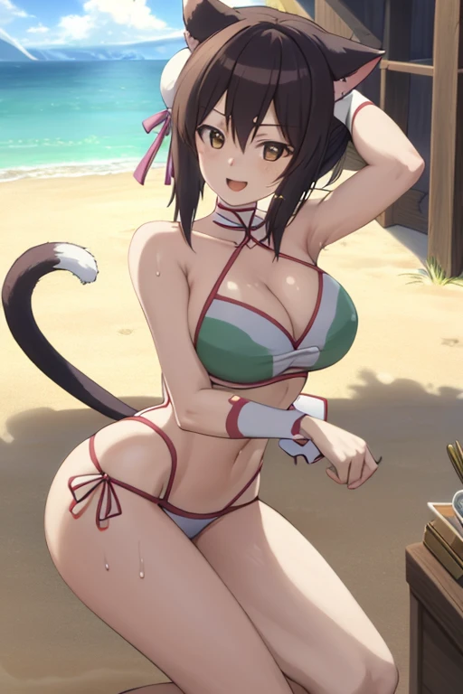 masterpiece, best quality, beautiful art, high resolution, well formed hands, body and fingers, 1 woman, solo, Lin Xiao Mei,  cat ears and cat tail, grown up, adult, large and rounded breasted, cleavage, hair ornament, wearing a Tyris Flare outfit ,  white...