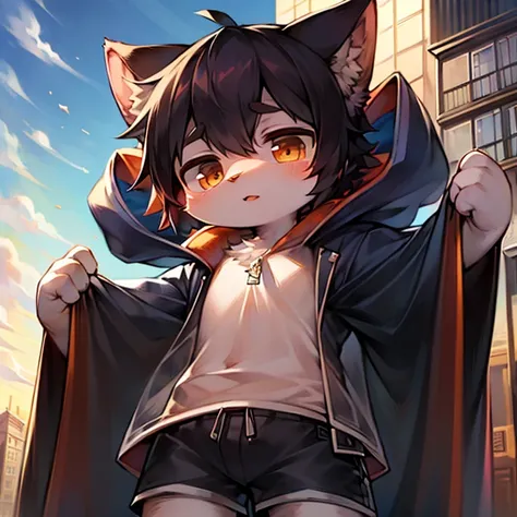 cute boy，4K，high quality，Real skies，Sunlight日系城市景观，High-rise，roof，Sunlight，Cat with very soft fur，Wearing a see-through baggy jacket and shorts，character focus，Intricate details，（Your name style，Japanese anime style）