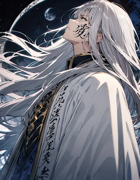 Highest quality、Very high quality、high resolution、Serious face,extremely delicate writing,(Detailed face), (Fine grain),of long white hair, Gray-haired deity, Flowing hair and long robes, (The moon behind him), Wearing a long haired cloak, 白いLong Hairの,  G...