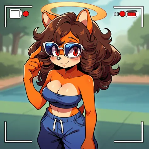 score_9, score_8_up, mobian, solo, hedgehog, two-tone fur ((orange fur, brown fur)), strapless crop top, baggy pants, cleavage, two-tone hair (brown hair, black tip)), curly hair, halo, sunglasses, jewelry, red eyes, longeyelashes, red eyes, smile, shy, bl...