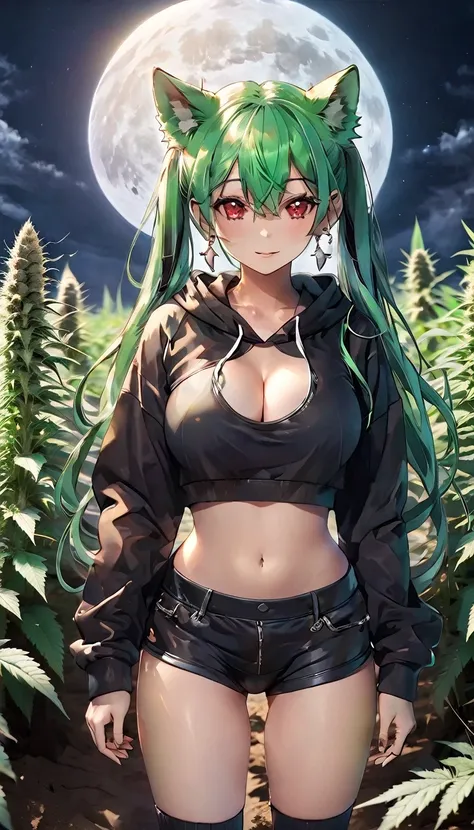   , Croped, , cleavage, slim waist, cropped hoodie underboob, cropped hoodieunderboobhoodie, 1girl, 2 wolf ears, wolf tail, marijuana crop hoodie, crop shorts, marijuana hoodie, spiky hair, spiky fur, green hair, red eyes,marijuana field, tight clothes, pe...