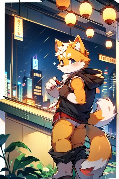 Shiba Inu boy，Southeast Asian cityscape，