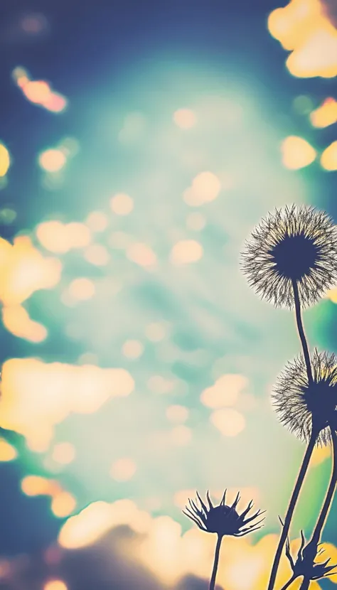 Sunflower close up with sky background, poster ; summer,