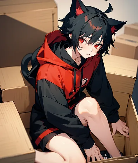 A cute Anime boy with short short black hair and sleepy red eyes and a emotionless face with cat ears and black hoodie sitting in a box , showing him from above