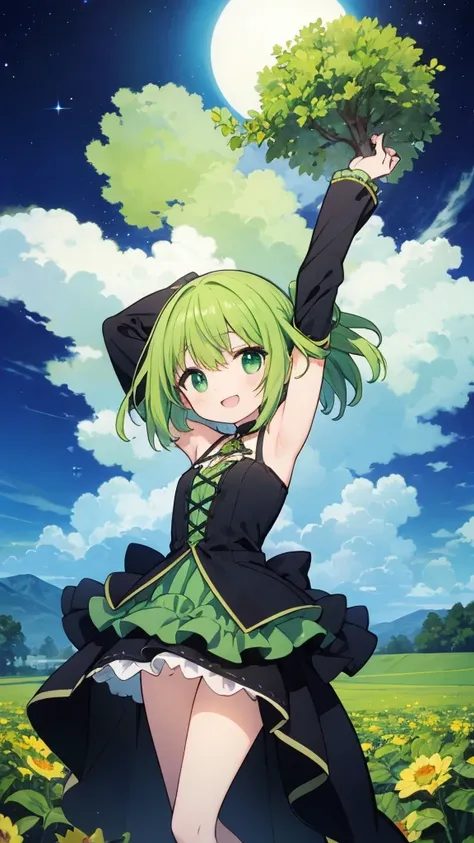 Green short hair girl, green witch clothing, pointed somorero, happy, arms towards the sky, evening