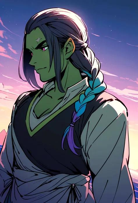 Half-Orc with braided hair