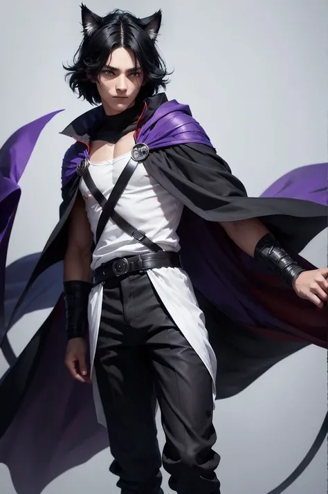 Black Hair少年，Around fifteen years old，Black Hair，Cat ear，Cat tail，Purple cloak，Heterochromia，Red left eye，Blue right eye，White shirt，Purple cloak，Standing，whole body，For the audience，White background，masterpiece，HD，4K，Detailed facial depiction，Black trouse...