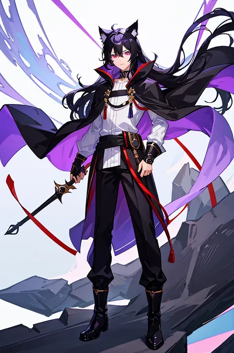 Black Hair少年，Around fifteen years old，Black Hair，Cat ear，Cat tail，Purple cloak，Heterochromia，Red left eye，Blue right eye，White shirt，Purple cloak，Standing，whole body，For the audience，White background，masterpiece，HD，4K，Detailed facial depiction，Black trouse...