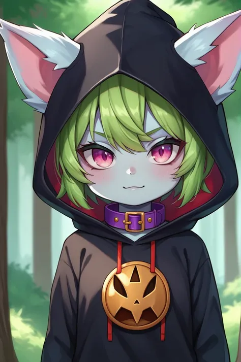 score_9, score_8_up, score_7_up, score_6_up, score_5_up, score_4_up, VexLoLXL, yordle, shortstack, pink eyes, green hair, bangs, short hair, grey skin, colored skin, black hood, hood up, ears through headwear, white animal ears, black shirt, purple collar,...