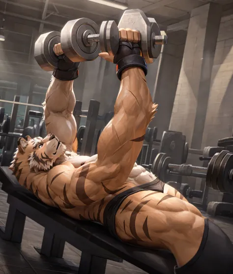 a white tiger mercenary in a gym, shirtless and topless, black gym shorts, fingerless gloves, gym shoes, dumbbell bench presses,...