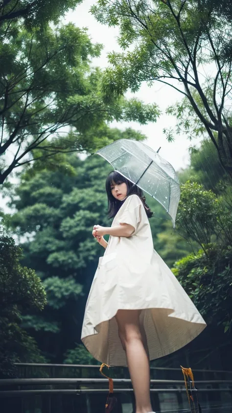 ((crane))、bird、Rainy Sky、1girl,from below