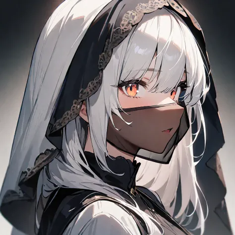 1 girl,Solo,White hair,tow torn color,lovely,masterpiece, best quality, very aesthetic,masterpiece, high quality,best quality, very aesthetic,absurdres,portrait,(fullface veil)