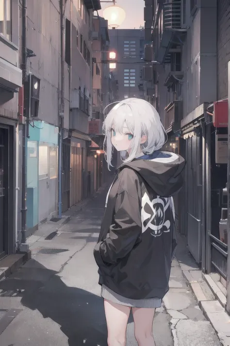 One girl,City of night,Wearing a hoodie，Gray Hair，Back Alley