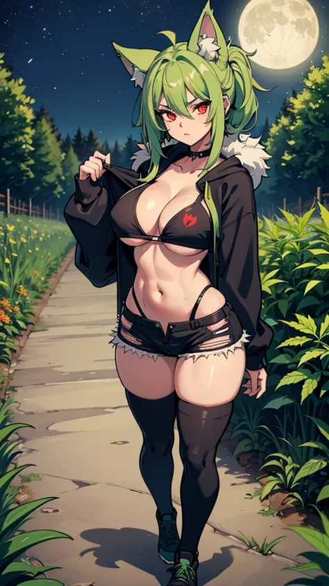 Croped, cleavage, slim waist, cropped hoodie underboob, cropped hoodieunderboobhoodie, 1 girl, 2 wolf ears, wolf tail, marijuana crop hoodie, crop shorts, marijuana hoodie, spiky hair, spiky fur, green hair, red eyes,marijuana field, tight clothes, perfect...