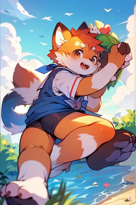 Male Red Panda，Appeared in a sailor uniform！