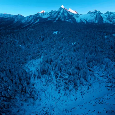 flock of birds flying over a snowy mountain with trees, 自然纪录片stills, 自然纪录片stills, birds flying, birds in flight, birds flying aw...